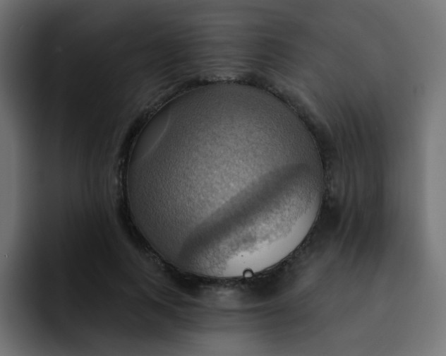 X0000092110743200710031230