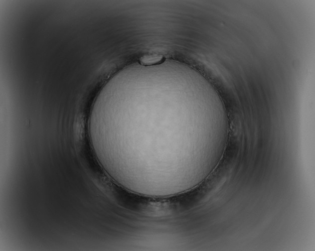 X0000092110744200710031230