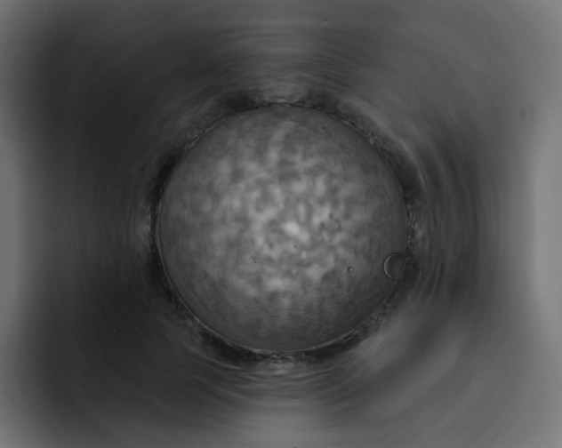 X0000092110745200710031230