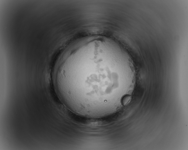 X0000092110746200710031230