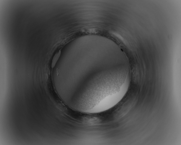 X0000092110747200710031230