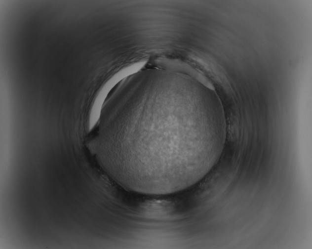 X0000092110748200710031230