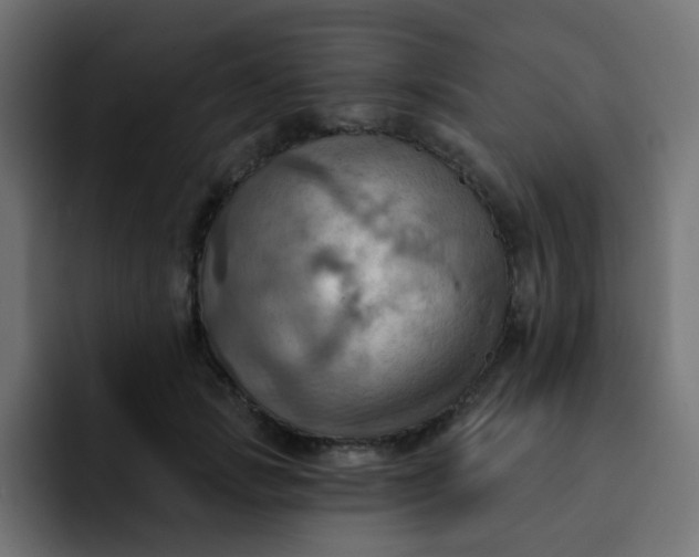 X0000092110749200710031230