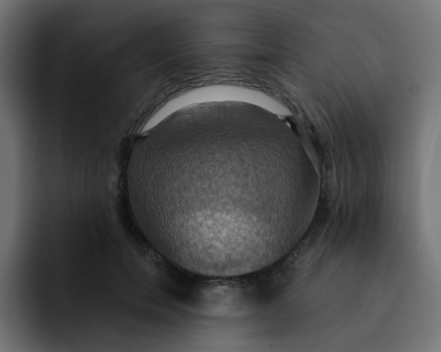 X0000092110750200710031230