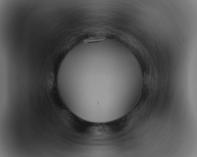 X0000092110752200710031230