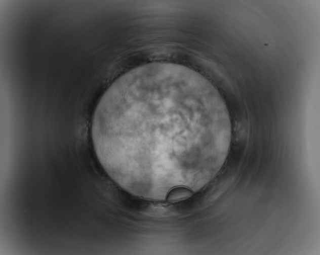 X0000092110753200710031230