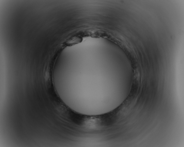 X0000092110754200710031230