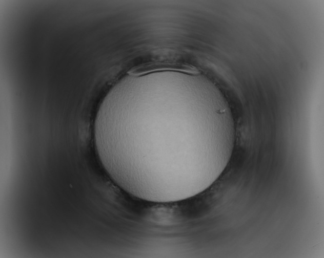 X0000092110756200710031230