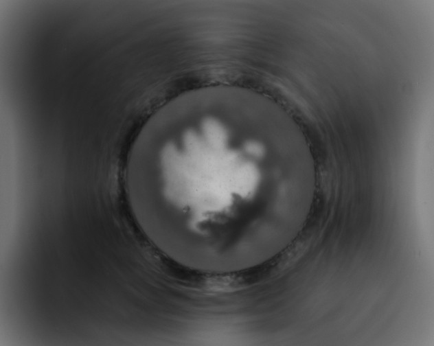 X0000092110757200710031230