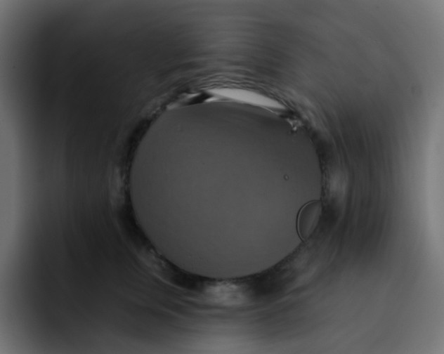 X0000092110759200710031230