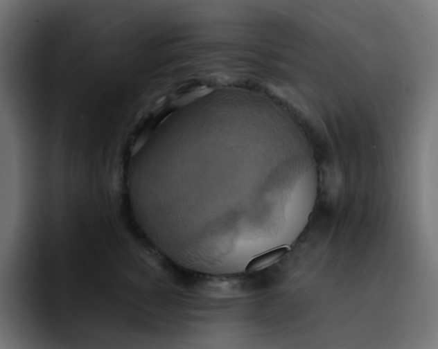 X0000092110760200710031230