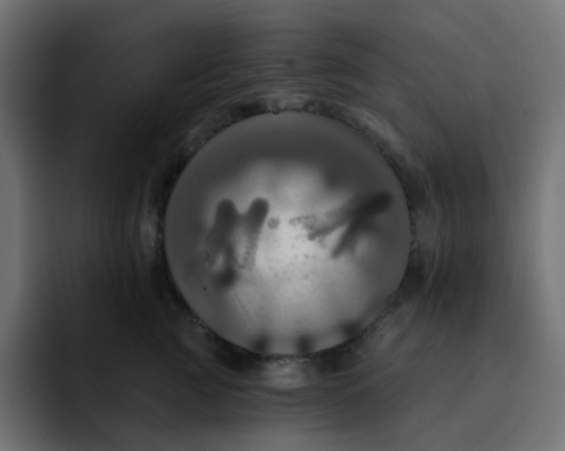 X0000092110761200710031230