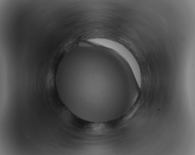 X0000092110762200710031230