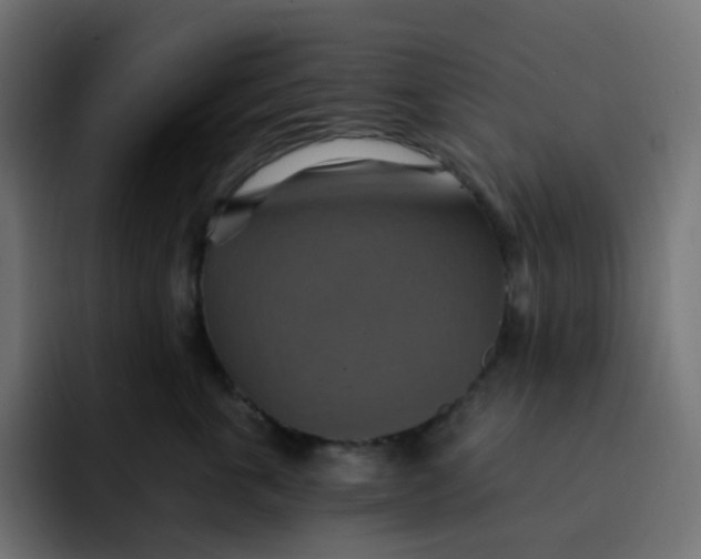 X0000092110763200710031230