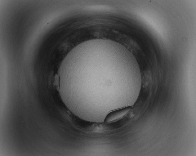 X0000092110764200710031230