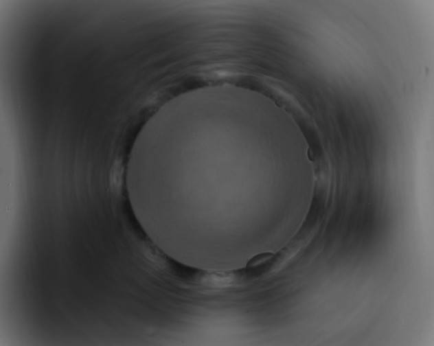 X0000092110767200710031230