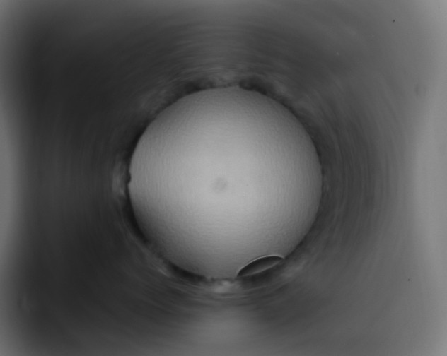 X0000092110768200710031230