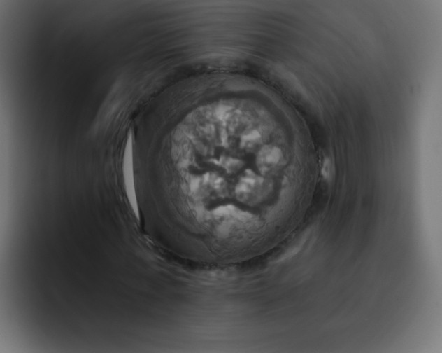 X0000092110771200710031230