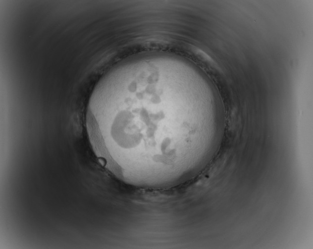 X0000092110774200710031230