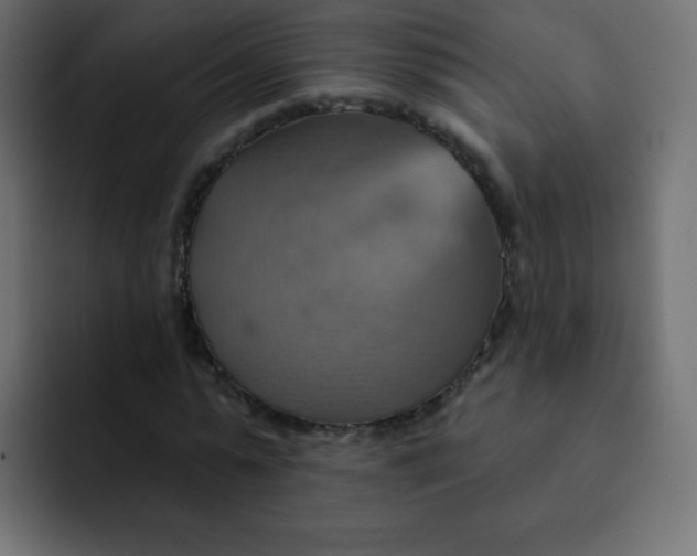 X0000092110775200710031230