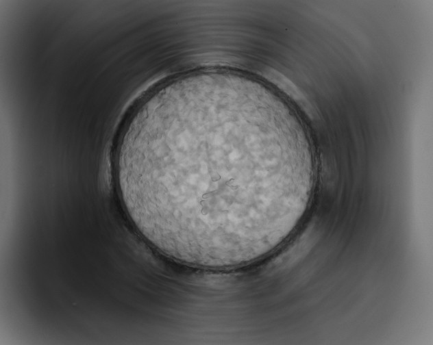 X0000092110782200710031230