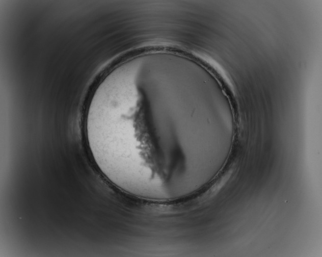 X0000092110783200710031230