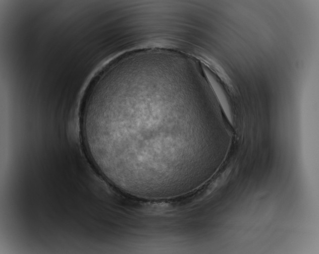 X0000092110784200710031230