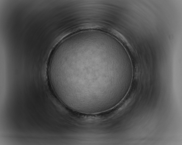 X0000092110786200710031230