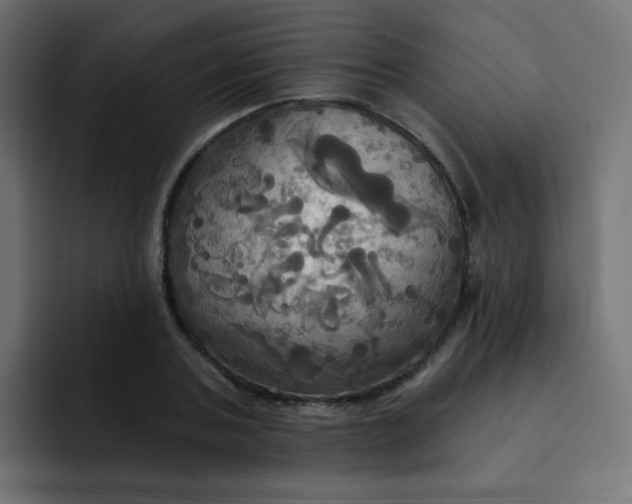 X0000092110787200710031230