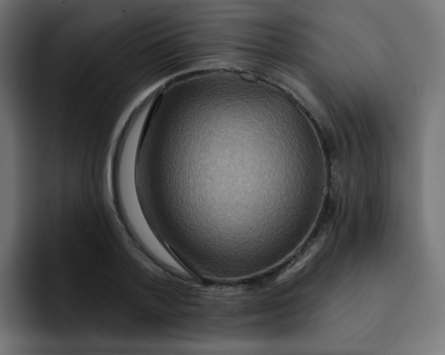 X0000092110788200710031230