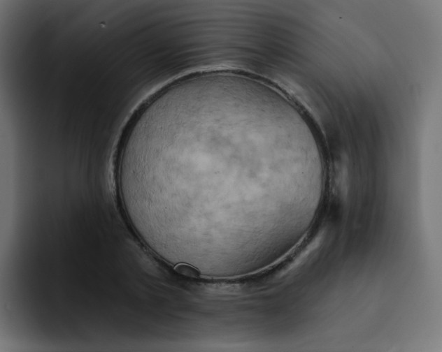 X0000092110789200710031230