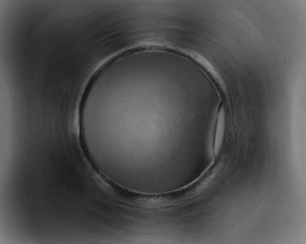 X0000092110791200710031230