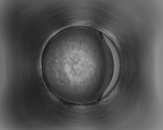 X0000092110792200710031230