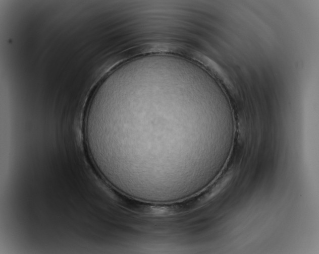 X0000092110794200710031230