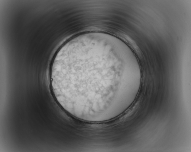 X0000092110796200710031230