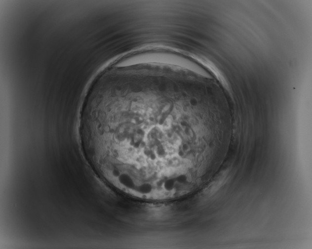 X0000092110799200710031229