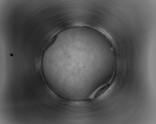 X0000092110801200710031229