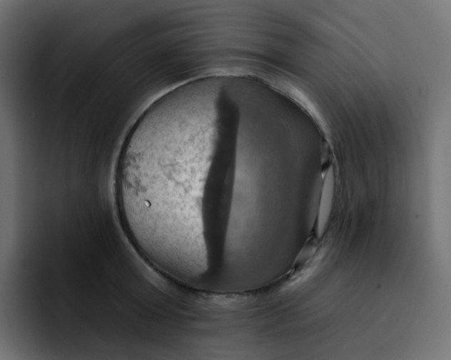 X0000092110803200710031229