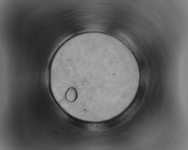 X0000092110804200710031229