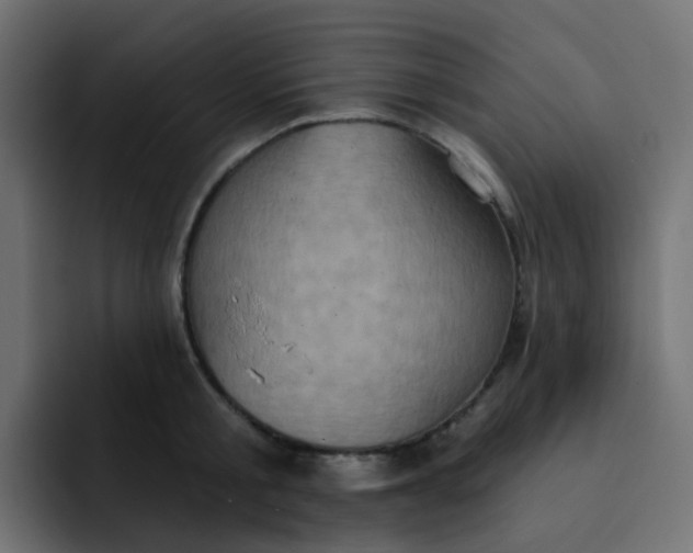 X0000092110805200710031229