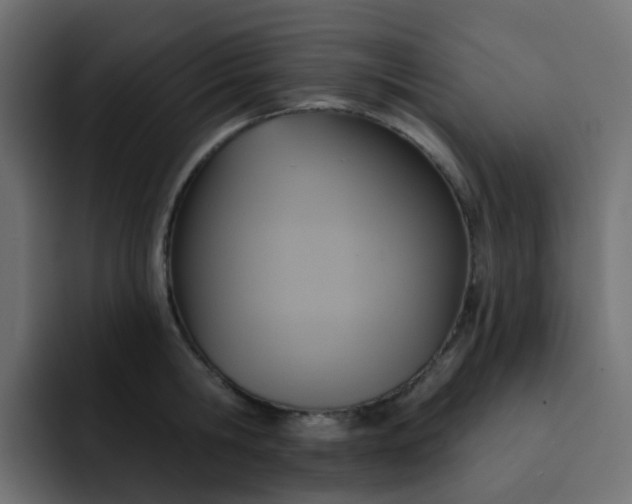 X0000092110806200710031229