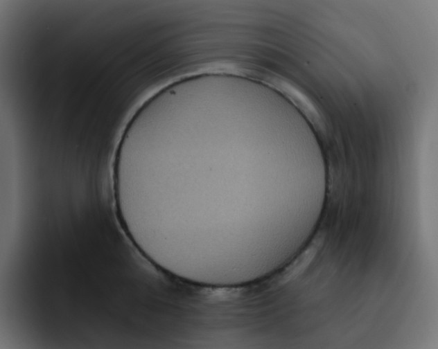 X0000092110808200710031229