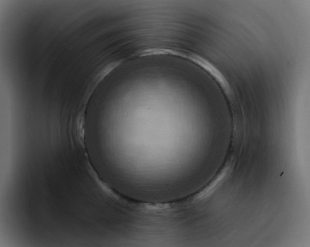 X0000092110809200710031229