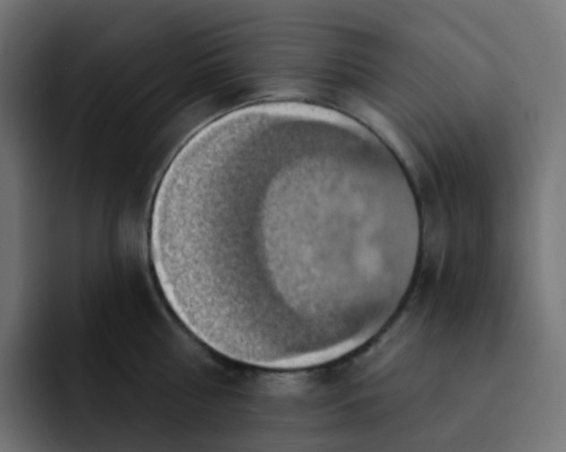 X0000092110810200710031229