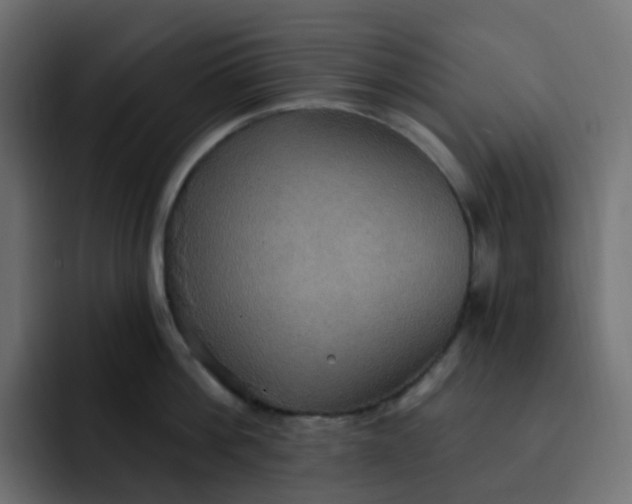 X0000092110812200710031229