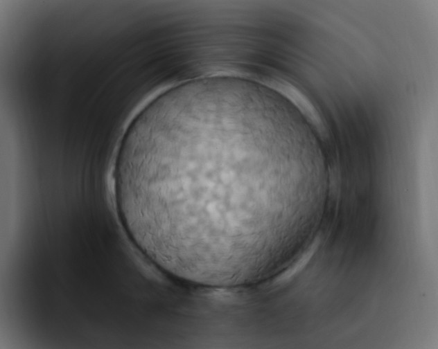 X0000092110814200710031229