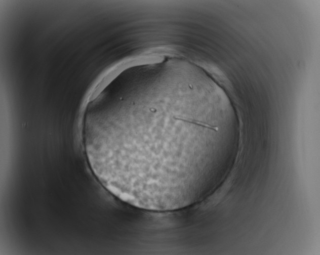 X0000092110816200710031229