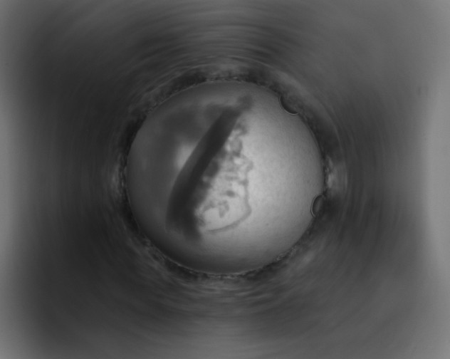 X0000092110819200710031229