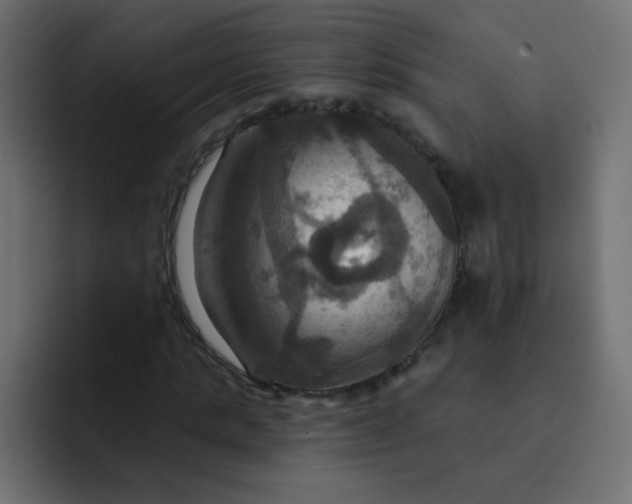 X0000092110821200710031229