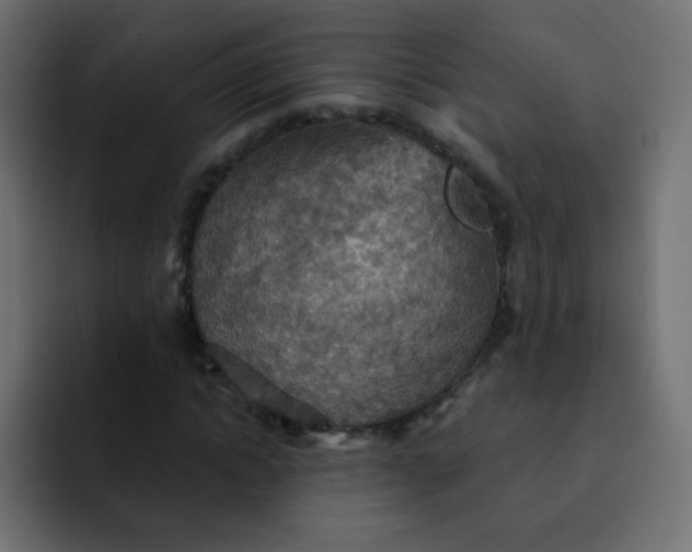 X0000092110822200710031229